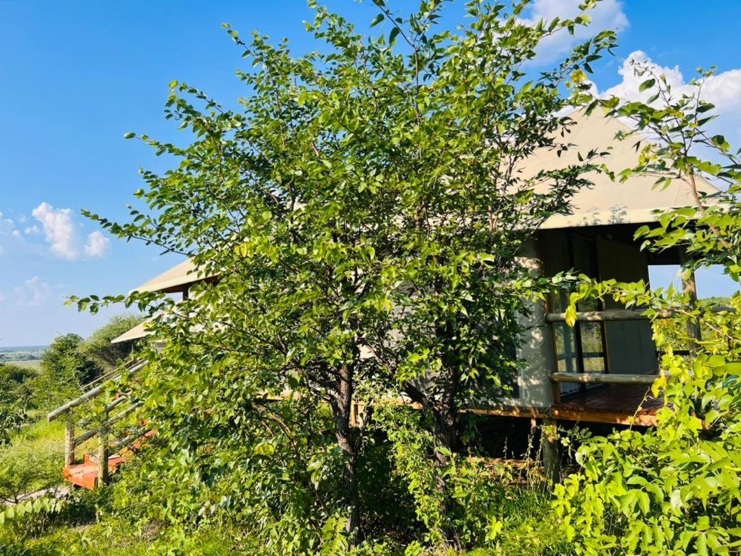 Xhabe Safari Lodge Chobe Muchenje المظهر الخارجي الصورة