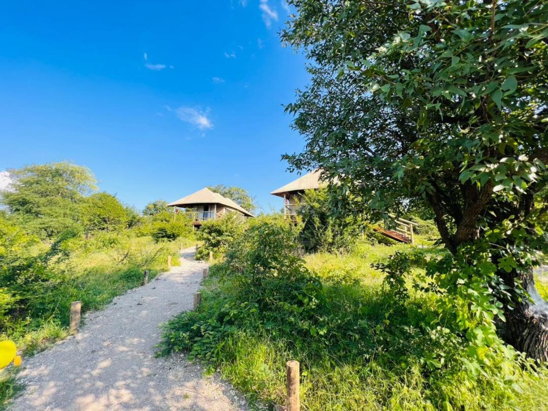 Xhabe Safari Lodge Chobe Muchenje المظهر الخارجي الصورة