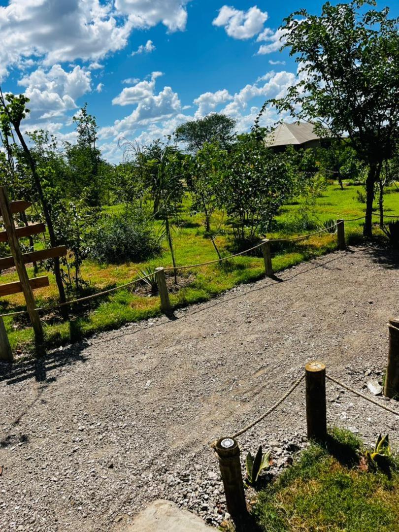 Xhabe Safari Lodge Chobe Muchenje المظهر الخارجي الصورة