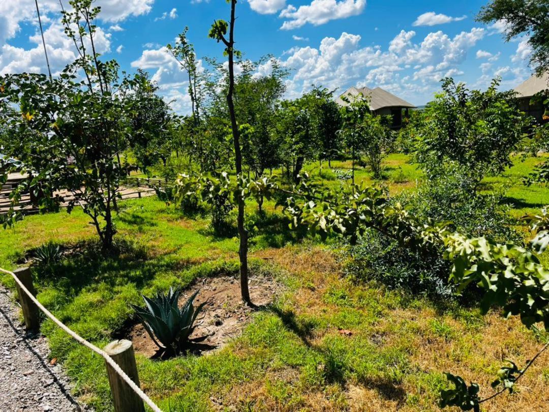Xhabe Safari Lodge Chobe Muchenje المظهر الخارجي الصورة